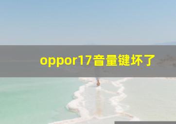 oppor17音量键坏了