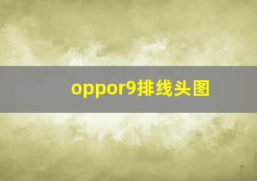 oppor9排线头图