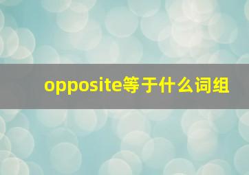 opposite等于什么词组