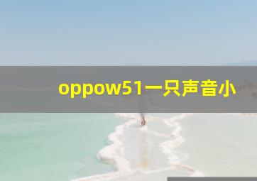 oppow51一只声音小