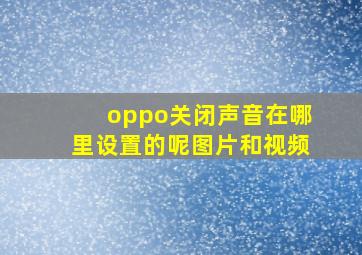 oppo关闭声音在哪里设置的呢图片和视频