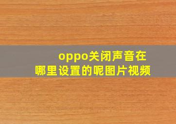 oppo关闭声音在哪里设置的呢图片视频