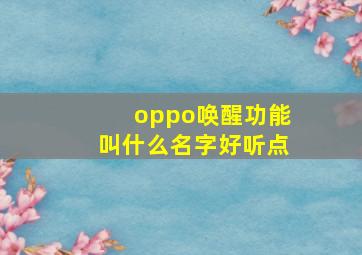 oppo唤醒功能叫什么名字好听点