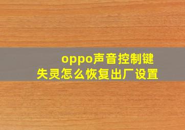 oppo声音控制键失灵怎么恢复出厂设置