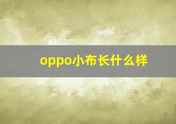 oppo小布长什么样