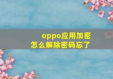 oppo应用加密怎么解除密码忘了