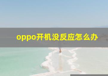 oppo开机没反应怎么办