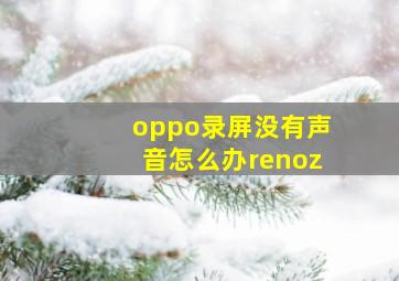 oppo录屏没有声音怎么办renoz