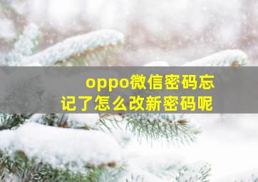 oppo微信密码忘记了怎么改新密码呢