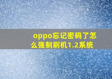 oppo忘记密码了怎么强制刷机1.2系统