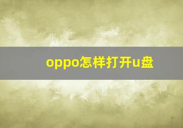 oppo怎样打开u盘