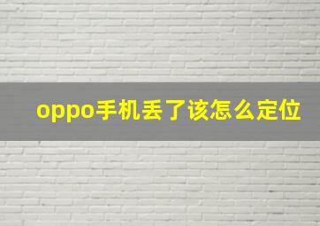 oppo手机丢了该怎么定位