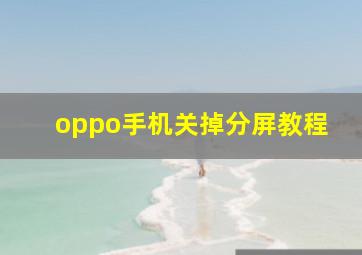 oppo手机关掉分屏教程