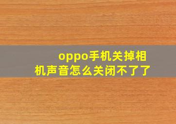 oppo手机关掉相机声音怎么关闭不了了