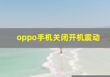 oppo手机关闭开机震动