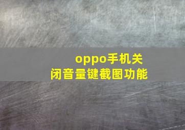 oppo手机关闭音量键截图功能