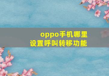 oppo手机哪里设置呼叫转移功能