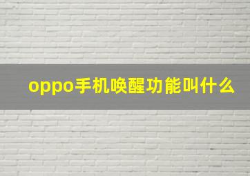 oppo手机唤醒功能叫什么