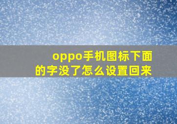 oppo手机图标下面的字没了怎么设置回来