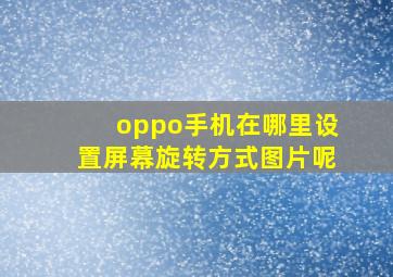 oppo手机在哪里设置屏幕旋转方式图片呢