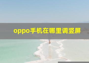 oppo手机在哪里调竖屏