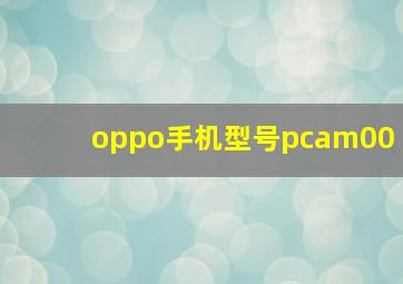 oppo手机型号pcam00