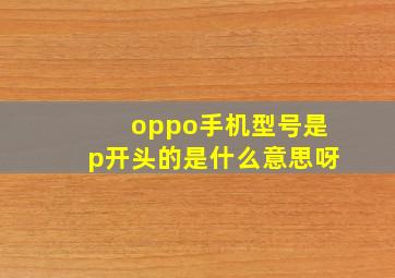 oppo手机型号是p开头的是什么意思呀