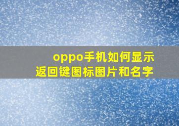 oppo手机如何显示返回键图标图片和名字