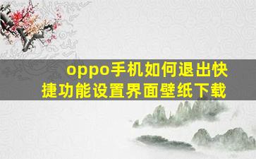 oppo手机如何退出快捷功能设置界面壁纸下载