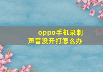 oppo手机录制声音没开打怎么办