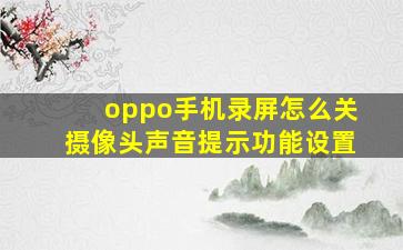 oppo手机录屏怎么关摄像头声音提示功能设置