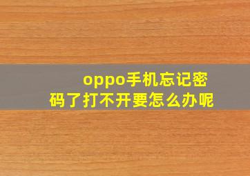 oppo手机忘记密码了打不开要怎么办呢