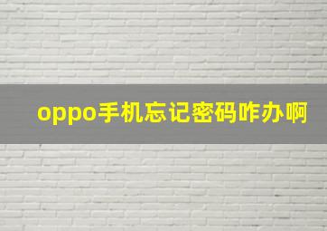 oppo手机忘记密码咋办啊