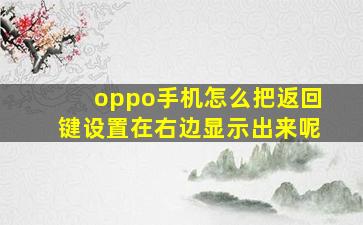 oppo手机怎么把返回键设置在右边显示出来呢