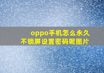 oppo手机怎么永久不锁屏设置密码呢图片