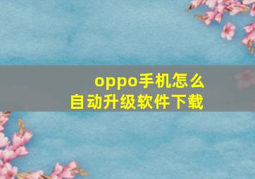 oppo手机怎么自动升级软件下载