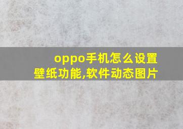 oppo手机怎么设置壁纸功能,软件动态图片