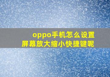 oppo手机怎么设置屏幕放大缩小快捷键呢