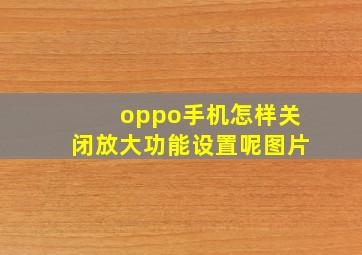 oppo手机怎样关闭放大功能设置呢图片