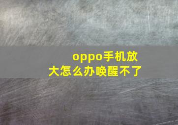 oppo手机放大怎么办唤醒不了