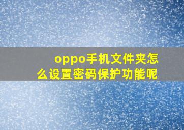 oppo手机文件夹怎么设置密码保护功能呢