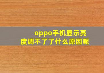 oppo手机显示亮度调不了了什么原因呢