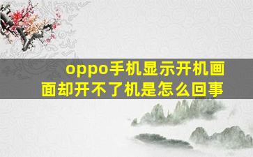 oppo手机显示开机画面却开不了机是怎么回事