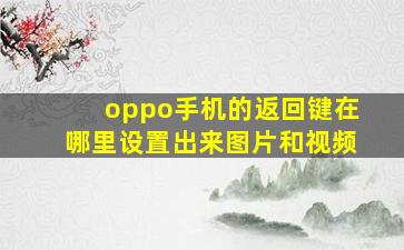 oppo手机的返回键在哪里设置出来图片和视频