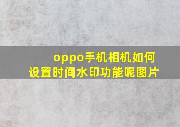 oppo手机相机如何设置时间水印功能呢图片