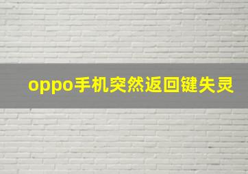 oppo手机突然返回键失灵