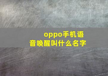 oppo手机语音唤醒叫什么名字