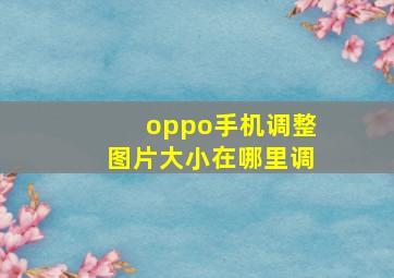 oppo手机调整图片大小在哪里调