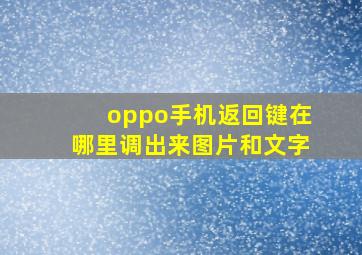 oppo手机返回键在哪里调出来图片和文字