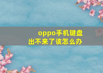 oppo手机键盘出不来了该怎么办